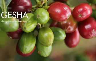 Những điều có thể bạn chưa biết về cà phê Gesha