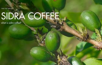 What is Sidra Coffee?