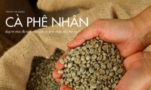 Duy trì mức độ tươi mới của cà phê nhân như thế nào?