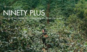 Ninety Plus Estates – Nơi đam mê cà phê đặc sản khơi nguồn