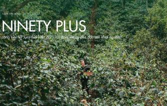 Ninety Plus Estates – Nơi đam mê cà phê đặc sản khơi nguồn