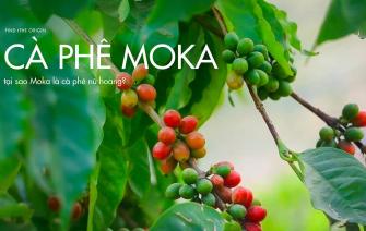 Cà phê Moka là gì? Tại sao Moka là cà phê nữ hoàng?