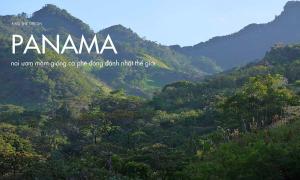 Panama – Nơi nuôi dưỡng giống cà phê kén chọn nhất thế giới