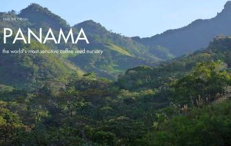Panama – Home to the world’s most picky coffee