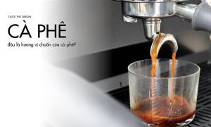 Đâu là hương vị chuẩn của cà phê? Cà phê thế nào là ngon?