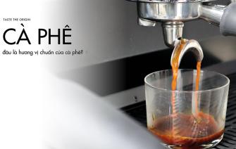 Đâu là hương vị chuẩn của cà phê? Cà phê thế nào là ngon?