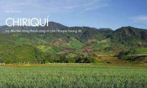 Chiriqui – Nơi đầu tiên trồng thành công cà phê Ethiopia hoang dã