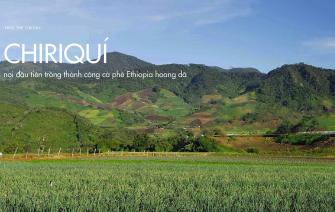 Chiriqui – Nơi đầu tiên trồng thành công cà phê Ethiopia hoang dã