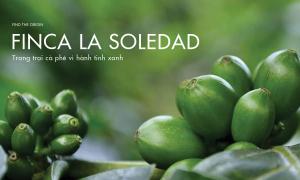 Finca Soledad – Trang trại cà phê vì hành tinh xanh