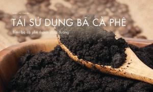 Cách biến bã cà phê thành đường, dầu để sử dụng