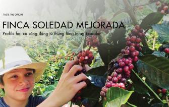 Mejorada Finca Soledad – Profile hạt cà sống động từ thung lũng Intag Ecuador