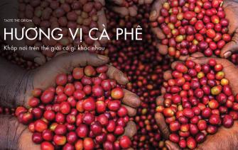 Cà phê từ khắp nơi trên thế giới có hương vị như thế nào?