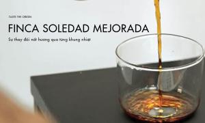 Cùng khám phá sự thay đổi hương vị Finca Soledad Mejorada theo từng khung nhiệt