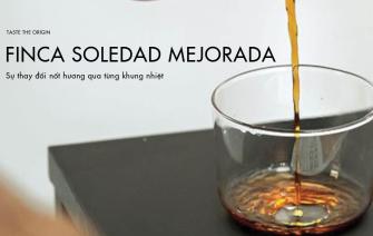 Cùng khám phá sự thay đổi hương vị Finca Soledad Mejorada theo từng khung nhiệt