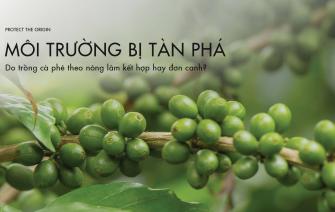 Will coffee production by agroforestry or monoculture destroy the environment?