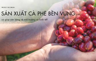 Liệu sản xuất cà phê bền vững có giúp cân bằng về môi trường và kinh tế?