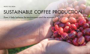 Does sustainable coffee production help balance the environment and the economy?