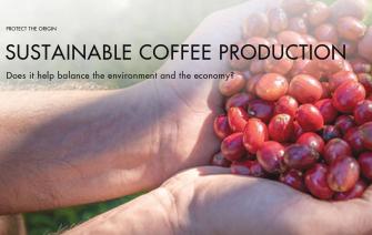 Does sustainable coffee production help balance the environment and the economy?