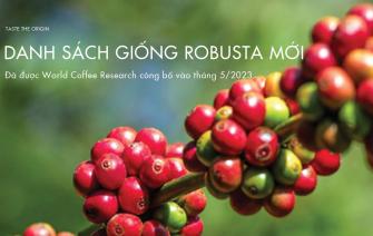 Tổ chức World Coffee Research công bố danh mục giống Robusta mới