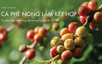 Nông lâm kết hợp – đảm bảo bền vững cho tương lai ngành cà phê?