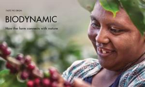 Biodynamic coffee production – How to connect the farm with nature