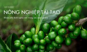 Khám phá định nghĩa mới –  Nông nghiệp tái tạo trong sản xuất cà phê