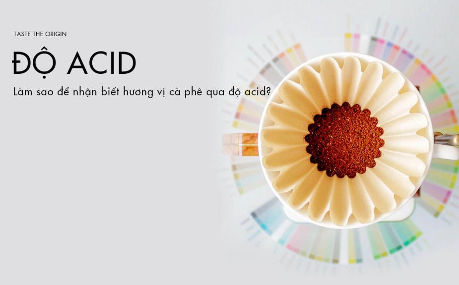 Khám phá độ acid của cà phê  – Cách nhận biết hương vị cà phê qua độ acid