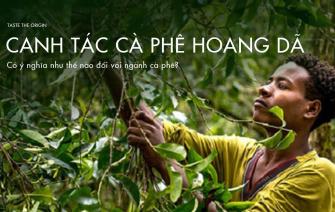 Canh tác cà phê hoang dã có ý nghĩa như thế nào đối với ngành cà phê?