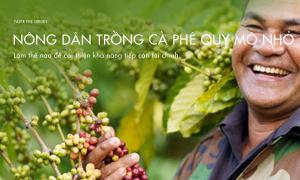 Làm thế nào để cải thiện khả năng tiếp cận tài chính cho nông dân trồng cà phê quy mô nhỏ?