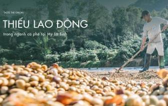 Làm thế nào để cải thiện tình trạng thiếu lao động trong ngành cà phê tại Mỹ La Tinh?