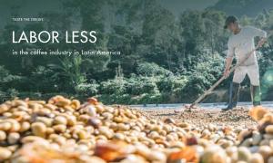 How to improve the labor shortage in the coffee industry in Latin America?