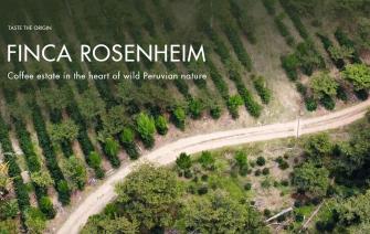 Finca Rosenheim – Điền trang cà phê trong lòng thiên nhiên Peru hoang dã