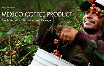 Mexican coffee production increases despite production challenges
