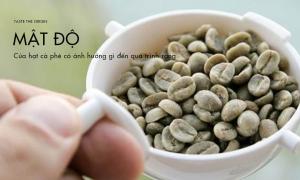 Khám phá mật độ của hạt cà phê