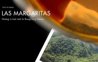 Cà phê Las Margaritas – Hương vị tươi mới từ thung lũng Cauca