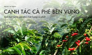 Sản xuất cà phê bền vững ảnh hưởng thế nào đến chất lượng cà phê?