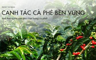 Sản xuất cà phê bền vững ảnh hưởng thế nào đến chất lượng cà phê?