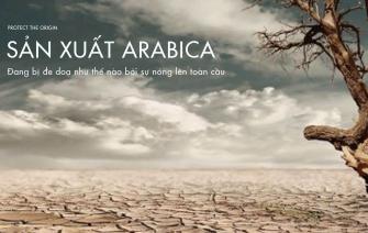 Sản xuất cà phê Arabica đang bị đe doạ nghiêm trọng do sự nóng lên toàn cầu