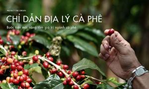 Chỉ dẫn địa lý cà phê – Bước tiến mới nâng tầm giá trị ngành cà phê