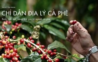Chỉ dẫn địa lý cà phê – Bước tiến mới nâng tầm giá trị ngành cà phê