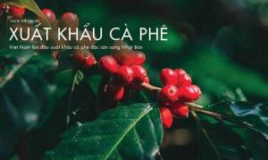Việt Nam lần đầu xuất khẩu cà phê đặc sản sang Nhật Bản