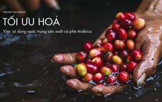 Giải pháp tối ưu cho việc sử dụng nước trong sản xuất cà phê Arabica