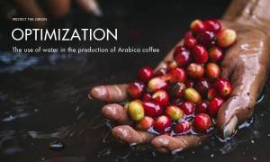 Optimal solution for using water in Arabica coffee production