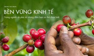 Bền vững kinh tế trong ngành cà phê và những điều bạn có thể chưa biết
