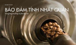 Bí quyết rang cà phê để đảm bảo chất lượng nhất quán