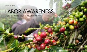 Myths about labor abuse in the coffee industry