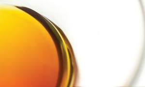 Scientists and Industry Convene for a Remarkable Tasting of Three Wild Coffee Species