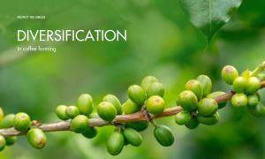 Diversification in coffee farming