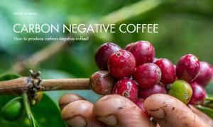How to produce carbon negative coffee?