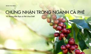 Chứng nhận trong ngành cà phê và những điều bạn chưa biết